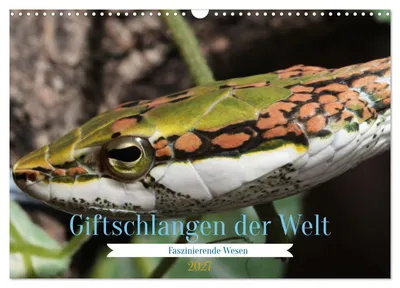 Produktbild von Giftschlangen der Welt (Wandkalender 2027 DIN A3 quer), CALVENDO Monatskalender