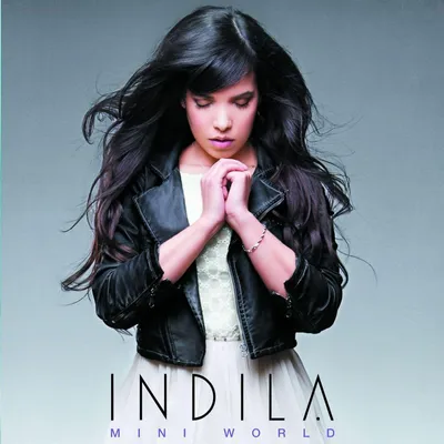 Zdjęcie produktu dla Indila-Mini World