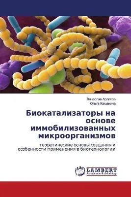 Produktbild von Biokatalysatoren auf Basis immobilisierter Mikroorganismen