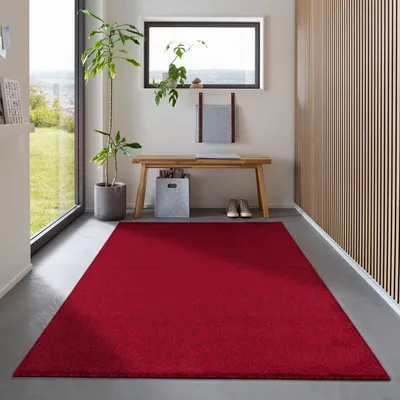 A red rug is placed in a hallway with a wooden bench, a plant, and a window.