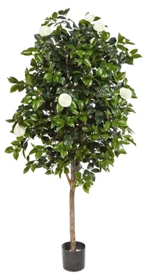 Produktbild von aplanta Künstlicher Kamelienbaum - Polly | 170 cm, Echtholzstamm, für drinnen, Kunstbaum, wie echt, Allergiker geeignet, pflanzliche Dekoration Praxis, Office & Wohnzimmer