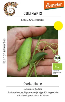 Artikelbild 1 von 'BIO Cyclanthere, Hörnchenkürbis' aus der Kategorie Kürbissamen