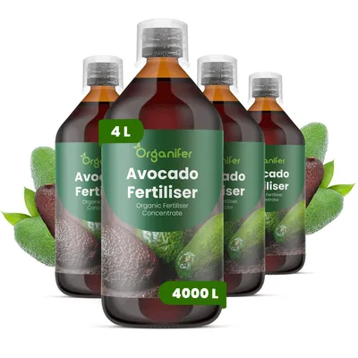 Produktbild von Avocado Flüssigdünger 4x1L – 2-1-8 NPK - Flüssigdünger Für Obstbäume – Für Kräftige Bäume & Gesunde Blätter – Fördert Wurzeln & Vitalität – Organifer