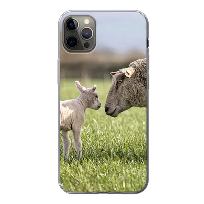 Produktbild von MuchoWow® Handyhülle Schutzhülle Hülle für iPhone 13 Pro Max Schafe - Gras - Lamm Silikon Softcase Handy Hülle - Mobiltelefon