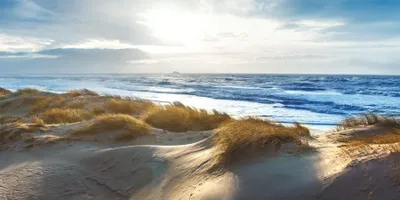 Produktbild von Wandbild STRAND 50x100 cm – Leinwandbild Keilrahmen Deko modern