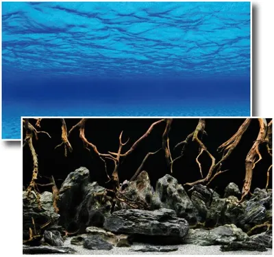 Produktbild von Fotorückwand Mystic beidseitig bedruckt 120x60cm 2in1 Rückwandposter