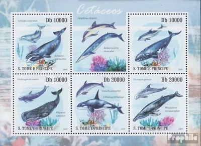Produktbild von Briefmarken Sao Tome e Principe 2009 Mi 4242-4246 Kleinbogen (kompl.Ausg.) postfrisch Wale