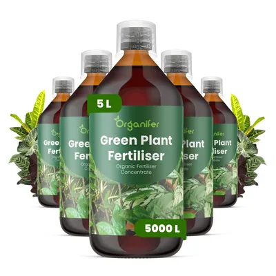 Produktbild von Green Plant Flüssigdünger 5x1L – 2-1-8 NPK – Flüssig-Pflanzendünger für Grünpflanzen – Organifer