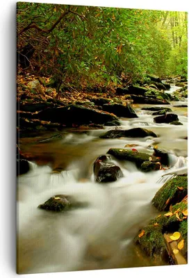 Produktbild von Bild auf Leinwand - Leinwandbild - Einteilig - Bäume Strom Felsen - 50x70cm - Wand Bild - Wanddeko - Wandbilder - Leinwanddruck - Wanddekoration - Leinwand bilder - Wandbild - PA50x70-0152