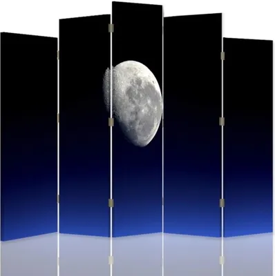 Produktbild von Paravent - Raumteiler Full Moon - Dekorativer Raumtrenner cm. 180x170 (5 x)