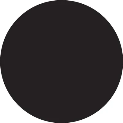 A black circle on a white background.