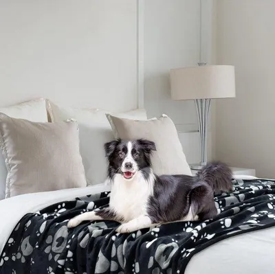 Produktbild von Famanu Haustierdecke für Hund oder Katze, weiche Verarbeitung, schwere Winterdecke, Fleece Decke 150x130 cm