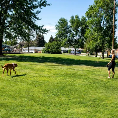 Produktbild von Einziehbare Hundeleine 8M für große Hunde bis 50 kg - No-Tangle Ausziehbar mit starkem Nylonband