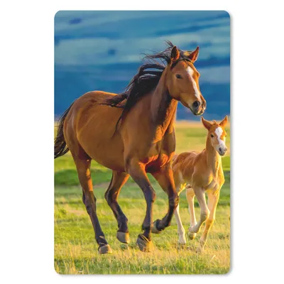 Produktbild von MuchoWow® Mauspad Mousepad Pferde - Gras - Tiere - Landschaft - Natur 18x27 cm - Mousepads - Maus Mat - Pad - Mausunterlage