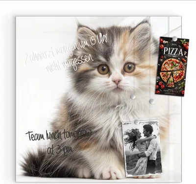 Produktbild von Magnettafel 50x50cm Pinnwand Whiteboard beschreibbar - Flauschige Katze