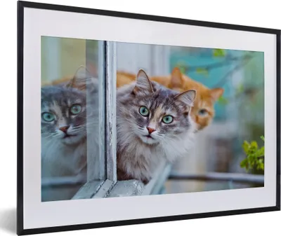 Produktbild von MuchoWow® MuchoWow® Gerahmtes Poster Katze - Fenster - Katzen 60x40 cm - Poster mit zchwarzem Bilderrahmen - Schlafzimmer - Plakat in Rahmen - Drucken