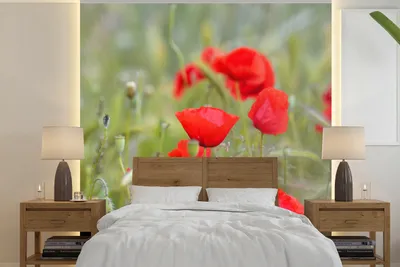 Produktbild von MuchoWow® Fototapete für Wohnzimmer oder Schlafzimmer Wandtapete Vinyl Motivtapete Rote Mohnblumen im Gras - 300x300 cm - Wanddekoration