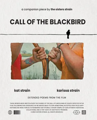 Produktbild von Call of the Blackbird