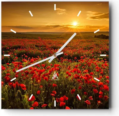 Produktbild von Wanduhr - Quadrat - Glasuhr - Mohn Blume Wiese - 40x40cm - Schleichendes Uhrwerk - Lautlos - zum Aufhängen bereit - Dekoration Modern - Wanddekoration aus Glas - C3AC40x40-3643