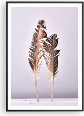 Produktbild von Gerahmtes Poster - Schwarzer Rahmen - Zwei Federn Flieder - 70x100 cm - Wand Bild - Wanddeko - Wandbilder - Kunstposter - Wandposter - Bilderrahmen - Bilder - Kunstdruck - Wandbild - P2BPA70x100-4335