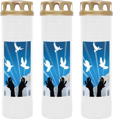 Image de Bougie funéraire - Pack de 3 - Blanc 170h ( couvercle or ) - Colombes