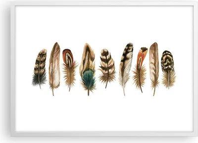Produktbild von Gerahmtes Poster - Weißer Rahmen - Weiß Hintergrund Federn - 70x50 cm - Wand Bild - Wanddeko - Wandbilder - Kunstposter - Wandposter - Bilderrahmen - Bilder - Kunstdruck - P2WAA70x50-4419