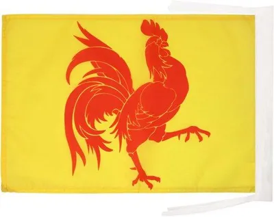 Zdjęcie produktu dla Regionalna flaga belgijska – uroczystości kulturalne – mocne nity – 45 x 30 cm – wielobarwna