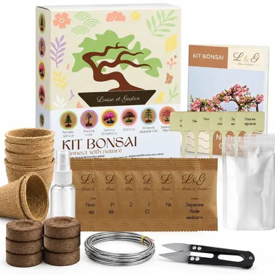 Obrázek produktu pro Sada bonsaje pro začátečníky - Semena - 6 druhů - S příslušenstvím - Pro začátečníky