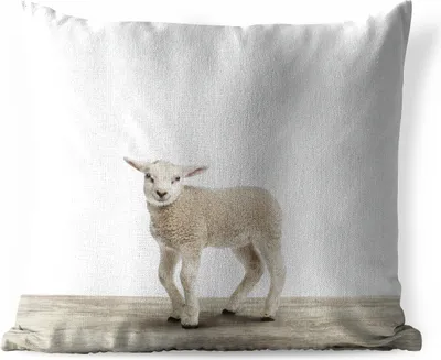 Produktbild von MuchoWow® Outdoor Kissen - Lamm - Schaf - Tiere - Kinder - Mädchen - Jungen - 60x60 cm - Wetterfest - Lounge Kissen - Dekoration - Schlaf Kissen