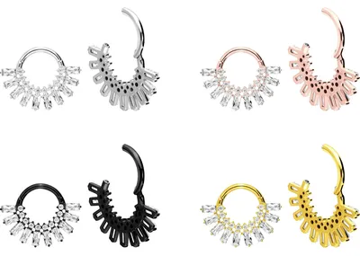 Produktbild von Ohrpiercing, Nasenpiercing, Septum Piercing Chirurgenstahl Segmentring Clicker KRISTALLSONNENSTRAHLEN