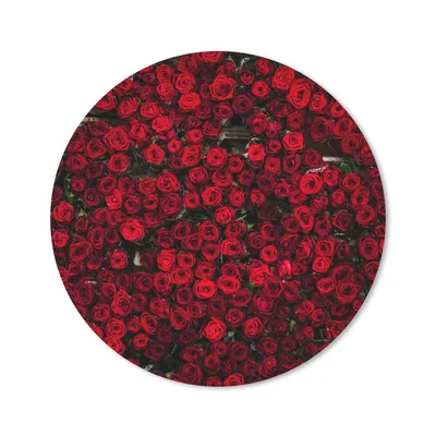 Produktbild von MuchoWow® Mauspad Mousepad Blumen - Rosen - Rot 40x40 cm - Mousepads - Maus Mat - Pad - Mausunterlage - Schreibtisch Accessoires