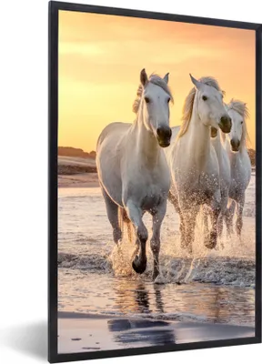 Produktbild von MuchoWow® Gerahmtes Poster Pferde - Sonne - Meer - Strand - Tiere 60x90 cm - Poster mit Schwarzem Bilderrahmen Wandposter Rahmen Foto Bilder - Kunst