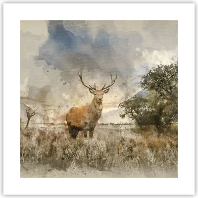 Produktbild von Poster - Poster ohne Rahmen - rotwild natur - 40x40 cm - Wand Bild - Wanddeko - Wandbilder - Kunstposter - Wandposter - Bilder - Kunstdruck - Wanddekoration - Wandbild - P2XAC40x40-3465