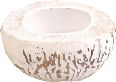 Produktbild von Kokosnuss - Tropical White - ø ca. 14-16 cm - 7155-02