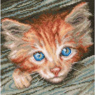 Image de Kit de broderie "Observateur moelleux", modèle compté, tissu Aida 14, dimensions 18x18 cm