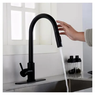 Produktbild von Schwarze Küchenarmatur aus Edelstahl mit einem Griff und ausziehbarer Brause für Wohnmobile