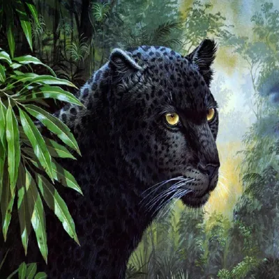 Produktbild von Malen nach Zahlen 5d Diamond Painting Black Panther Malen nach Zahlen 30x30cm