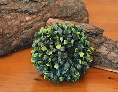 Produktbild von Dekopflanze Buxkugel Buchsbaum Buchsbaumkugel Kugel D15cm