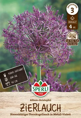 Produktbild von SPERLI Zierlauch Allium christophii 5 Zwiebeln