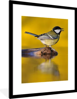 Produktbild von MuchoWow® Gerahmtes Poster Kohlmeise - Vogel - Wasser 60x80 cm - Poster mit Schwarzem Bilderrahmen Wandposter Rahmen Foto Bilder - Wohnzimmer - Dekorationen - Prämie
