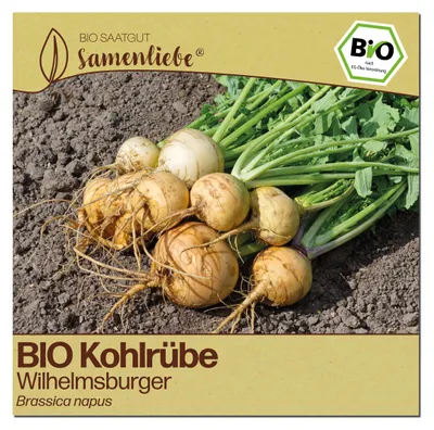 Produktbild von Samenliebe  Kohlrübe Samen | Wilhelmsburger - aromatisch & groß - samenfestes  Saatgut