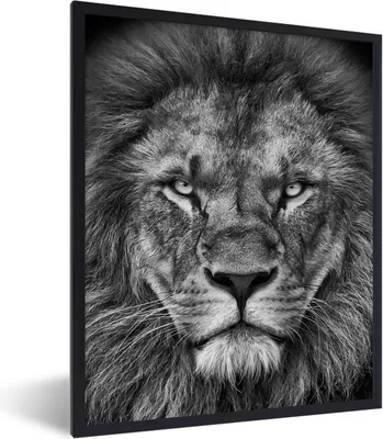 Produktbild von MuchoWow® Gerahmtes Poster Tiere - Löwe - Schwarz - Weiß - Porträt 60x80 cm - Poster mit Schwarzem Bilderrahmen Wandposter Rahmen Foto Bilder - Premium - Wanddeko Wohnzimmer