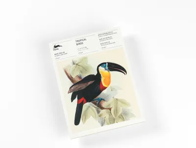 Produktbild von Tropical Birds