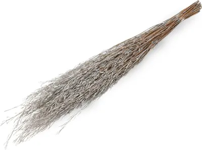 Produktbild von Sarash Bündel silber 110 cm getrocknete Gräser Bodenvase Trockenblumen Boho Deko