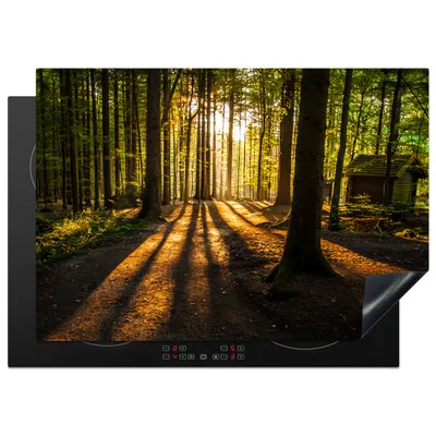 Produktbild von KitchenYeah© Herdabdeckplatte Sonne - Bäume - Wald - Landschaft - Natur , 75x52cm, Küche Deko, Glaskeramikkochfeld Herdabdeckung, Abdeckplatte fùr Kochfeld