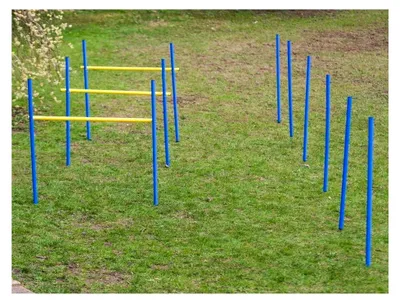 Produktbild von Agility Trainingsset für Anfänger