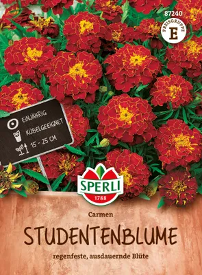 Produktbild von SPERLI Studentenblumensamen Carmen Tagetes patula 45 Pflanzen