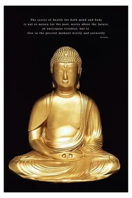 Produktbild von Pyramid International - "Buddha" Maxi-Poster CD2148 (Einheitsgröße) (Schwarz/Weiß)