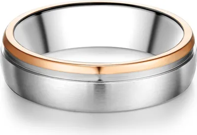 Produktbild von Trilani Ring Edelstahl 60186015 62