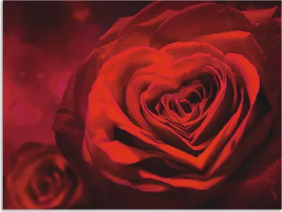 Produktbild von ARTland Wandbild Alu für Innen & Outdoor Valentinseinladung mit Herzen und Rosen Größe: 60x45 cm